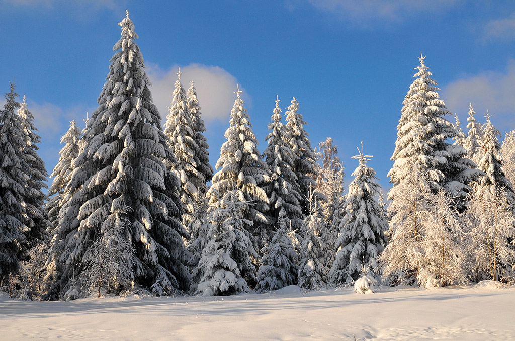 Nördliches Fichtelgebirge im Winter