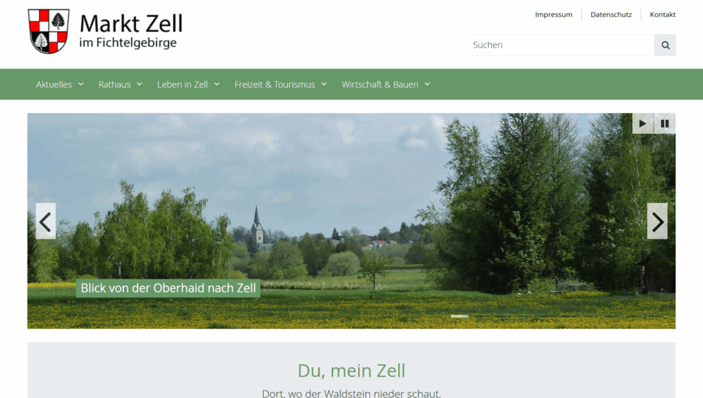 Website Screenshot Zell