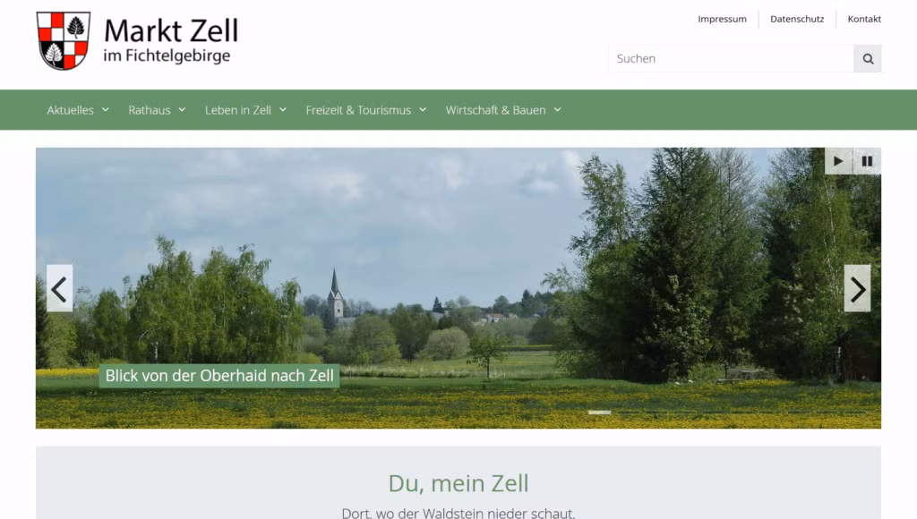 Website Screenshot Zell