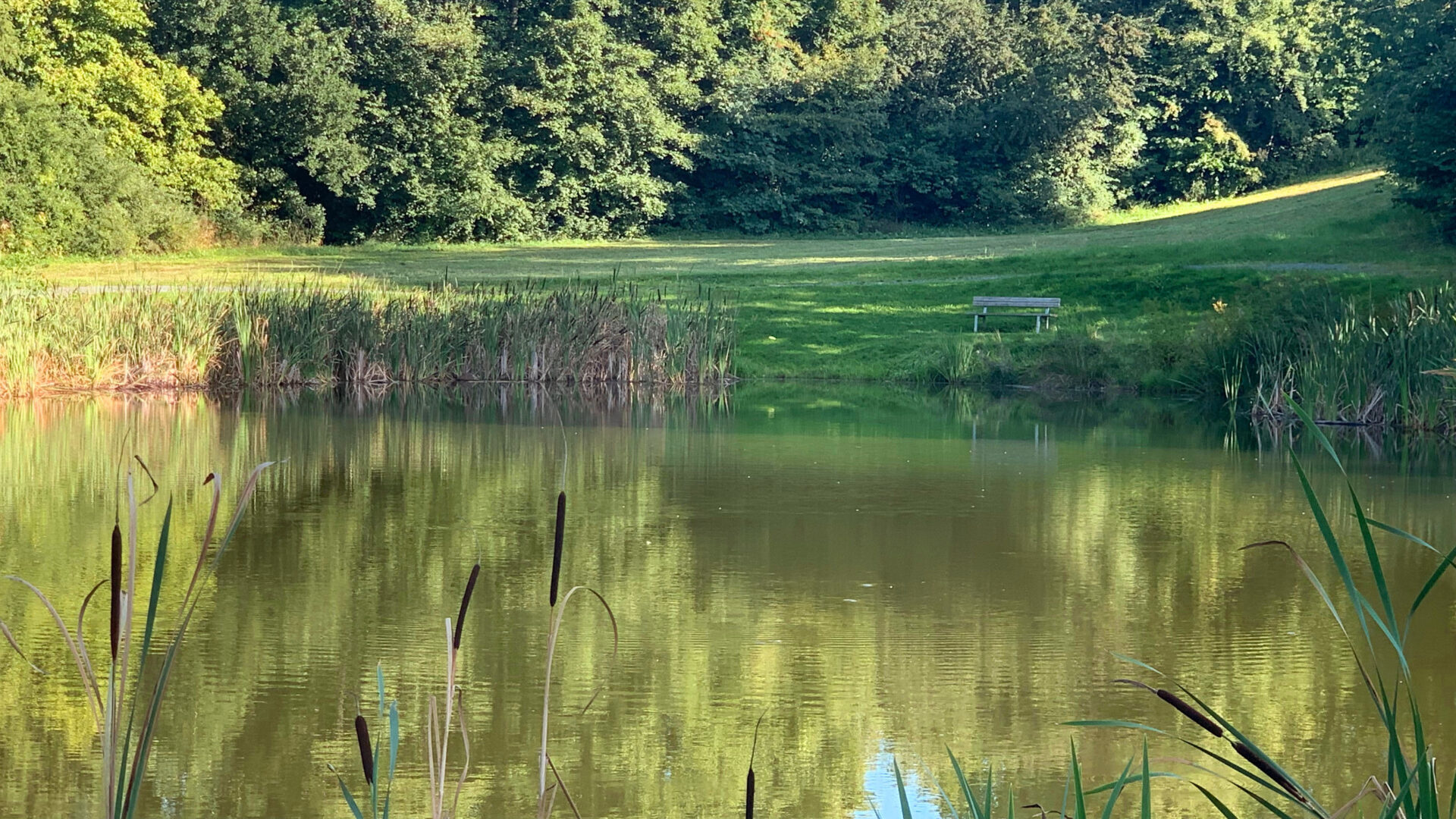 Teich beim Sparnecker Freizeitgelände