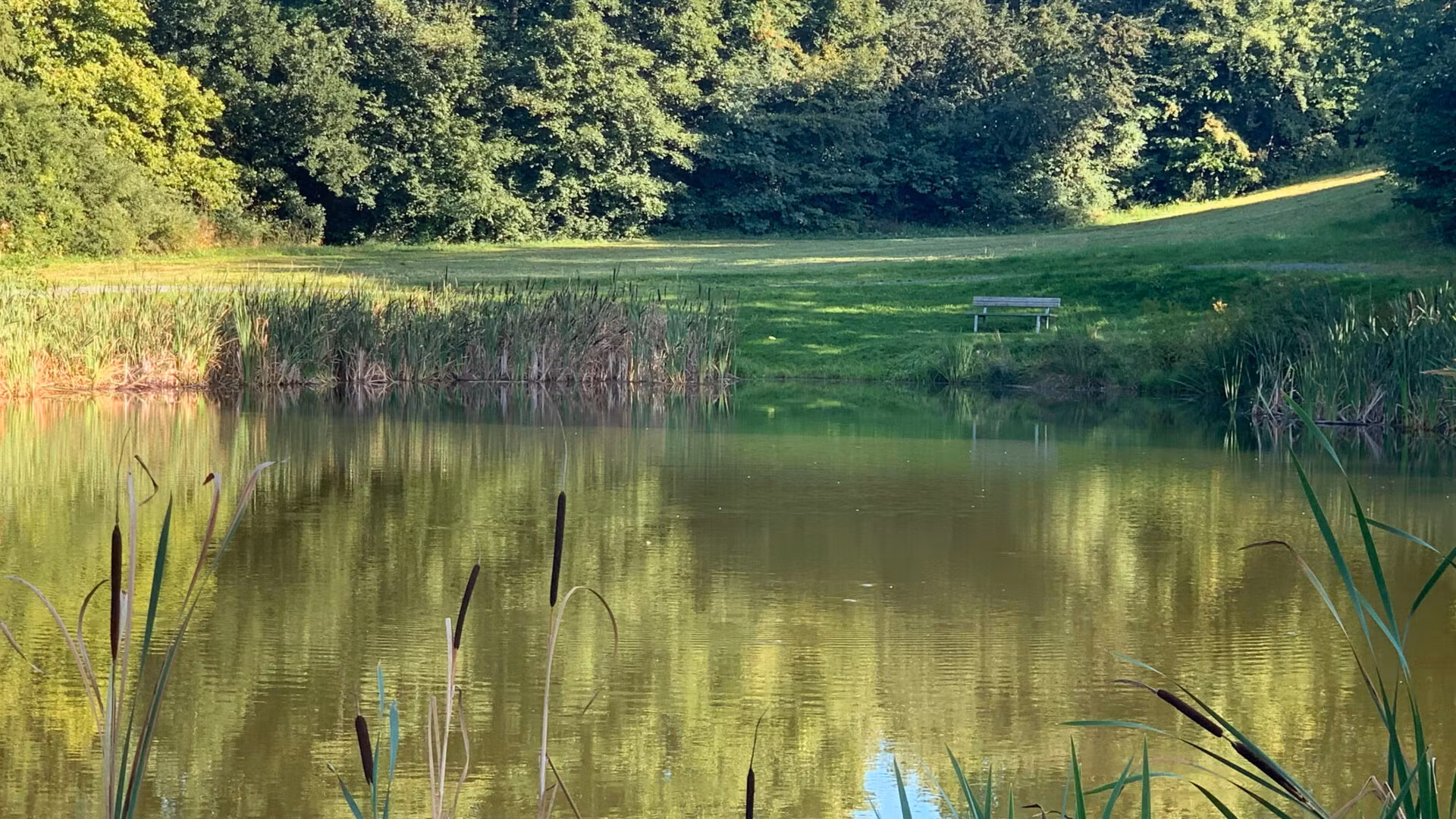 Teich beim Sparnecker Freizeitgelände